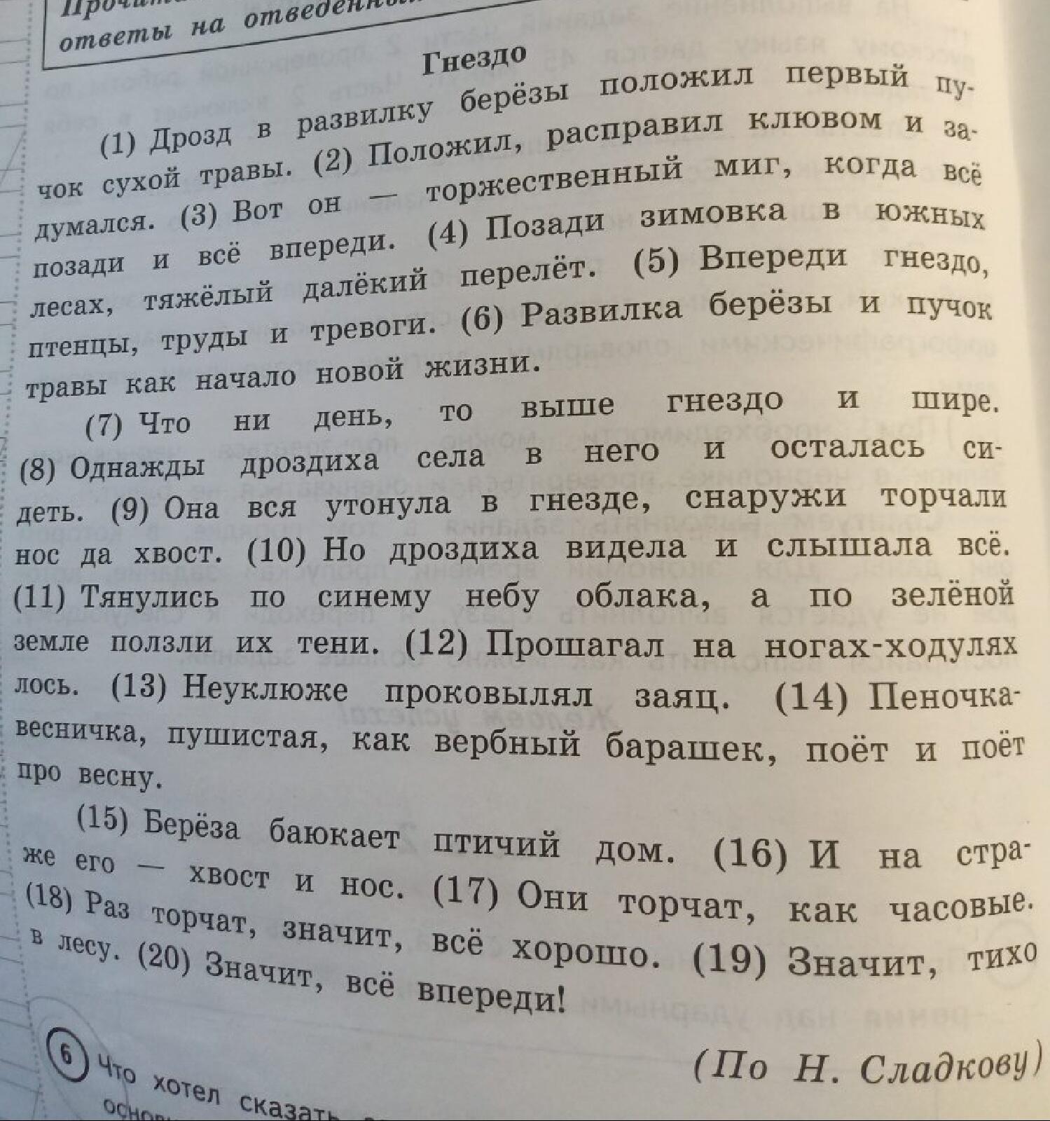 Возле старого колодца стоит высокая кудрявая береза основная мысль текста и план с ответами