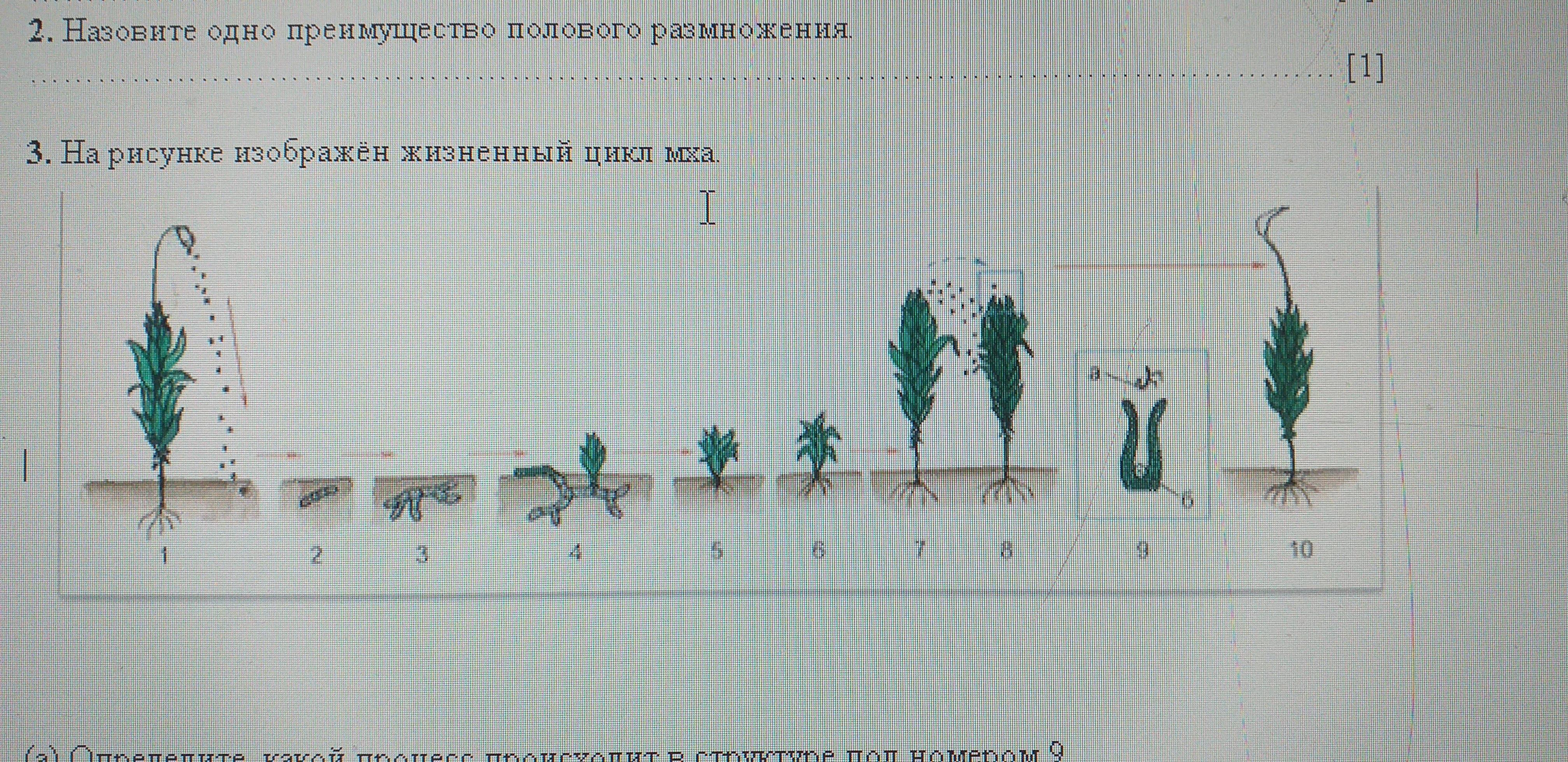 По рисунку определите происходящий процесс