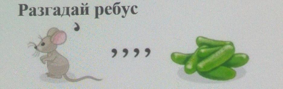 Разгадай цвета. Отгадайте ребус яблоко ложка кот волос мама оливки макака. Надо разгадать ребус те Лев л этот как как там животное 2 равно н те.