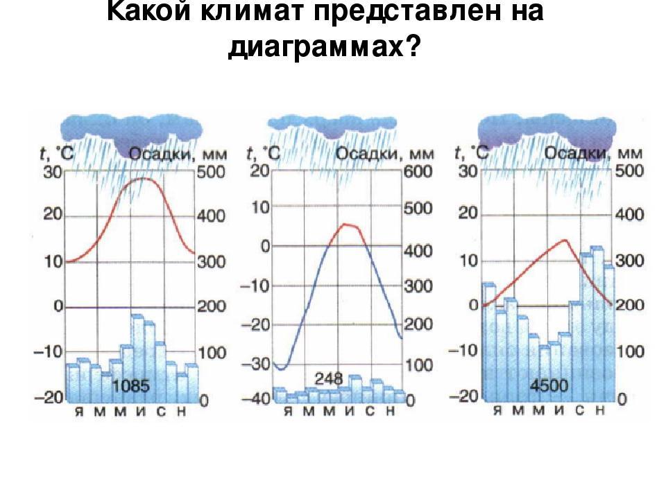 Анализ климатической диаграммы