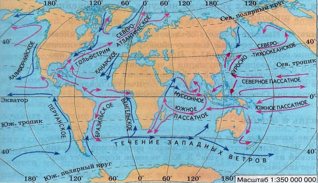 Теплые и холодные течения на карте австралии. Тёплые и холодные течения на карте мирового океана. Карта поверхностных течений. Течение Гольфстрим Бенгельское перуанское. Основные поверхностные течения в мировом океане.