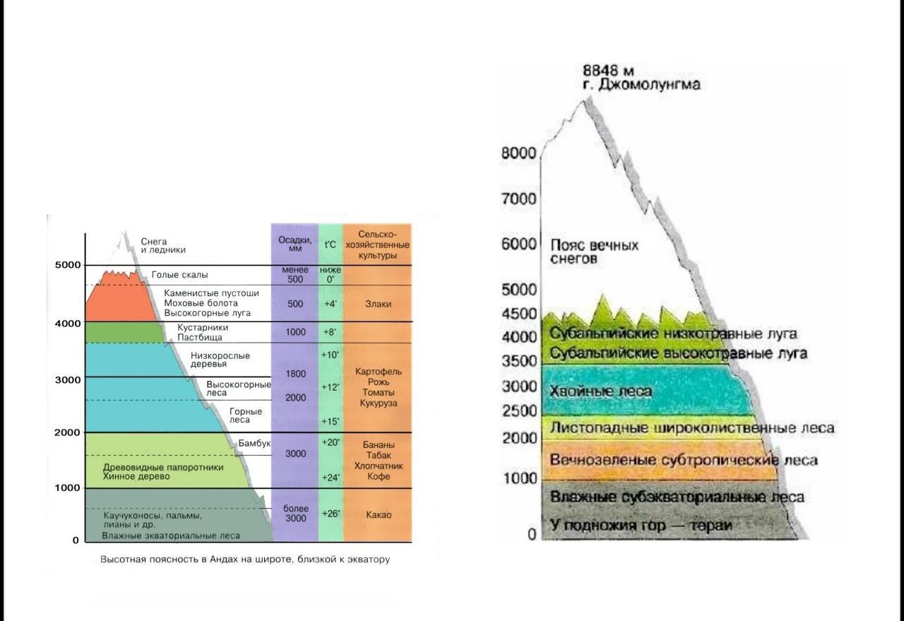 Схема высотных поясов в горах