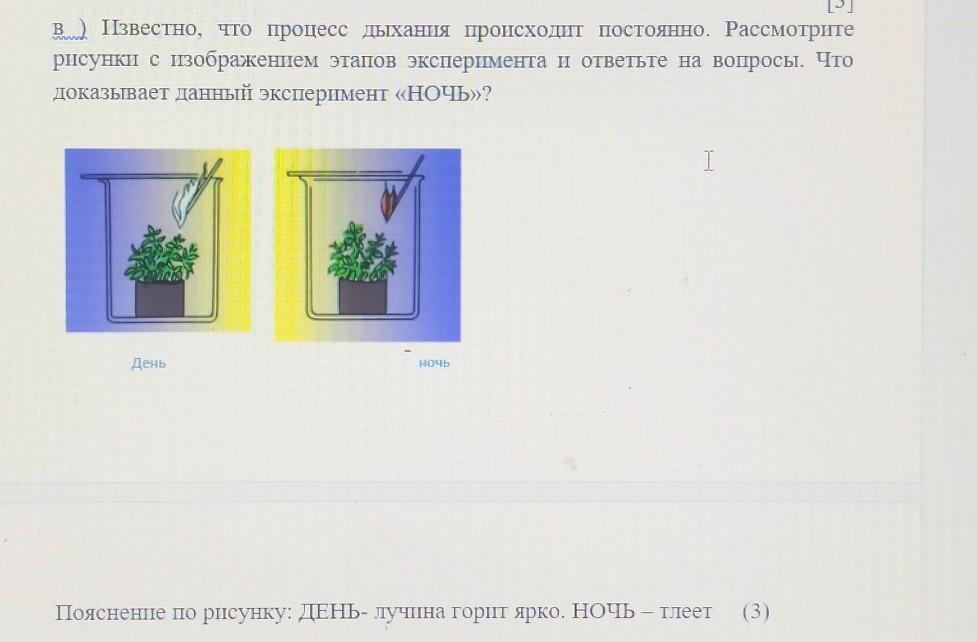 Рассмотрите рисунок что позволяет обнаружить данный опыт