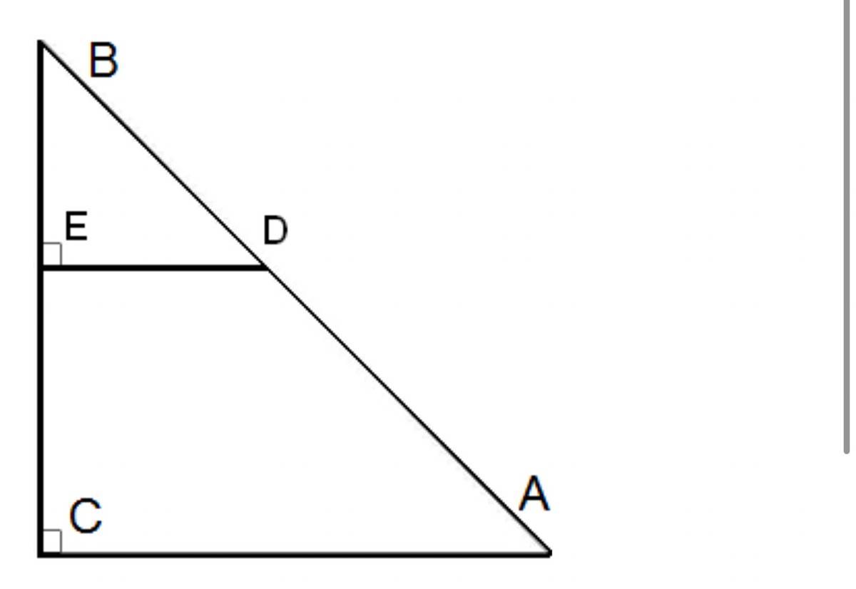 Ca vi. Подобие прямоугольных треугольников. Подобные прямоугольные треугольники. Подобие прямоугольных треугольников 8 класс. Прямоугольный треугольник Bac.
