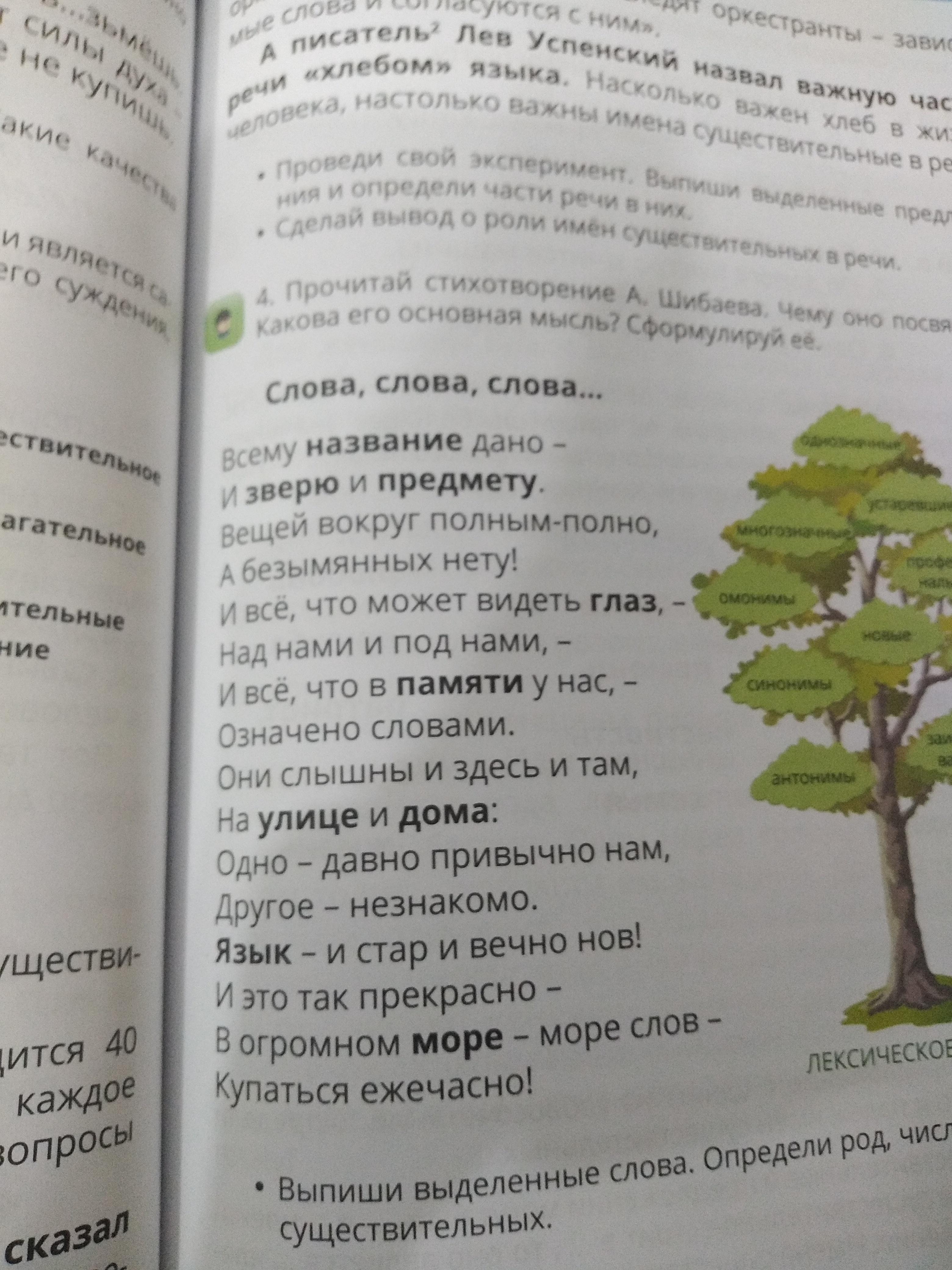 Дуб стоит высокий текст. Прочитай .какова основная мысль. Шибаев слова слова слова основная мысль стихотворения. "Слова слышны и здесь и там" Шибаев. Прочитай стихотворение а Шибаева слова слова слова 1 класс ответы.