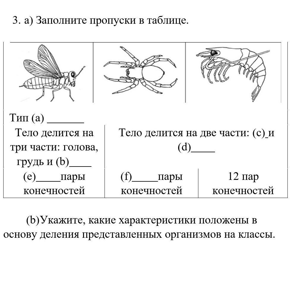 Заполните пропуск 1 4 6 1. Заполните пропуски в таблице. Заполните пропуски (а-е) таблице. Заполните пропуски в таблице укажите. Таблица для заполнения пропусков.