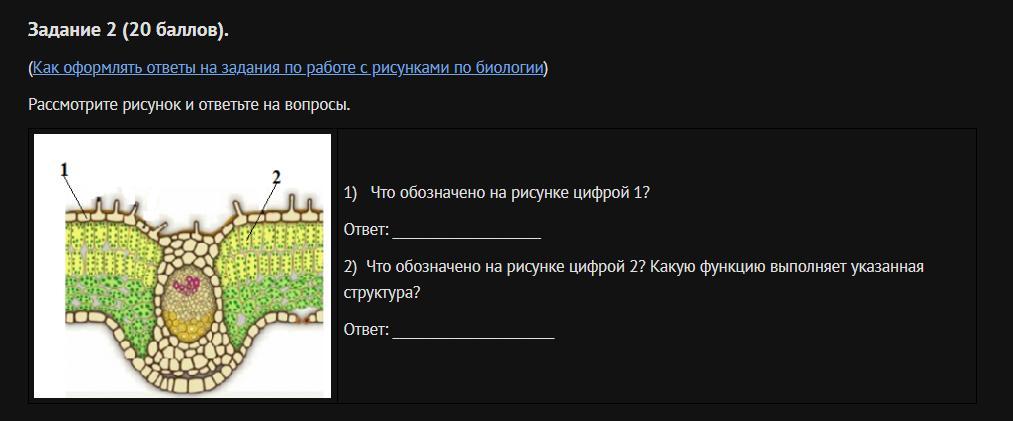 Рассмотрите рисунок что обозначено цифрами