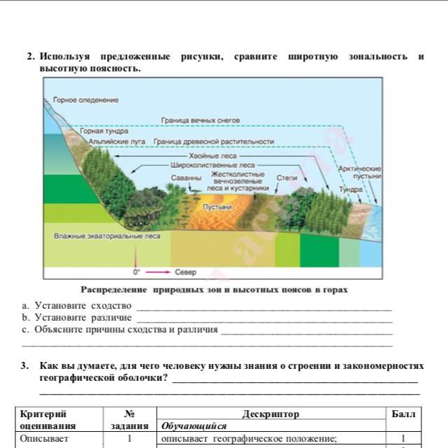 Смена природных зон от экватора к полюсам. Широтная зональность и Высотная поясность это в географии. Широтная зонал ность и Высотная поясность. Широта зональность ,высота поясность. Распределение растительности.