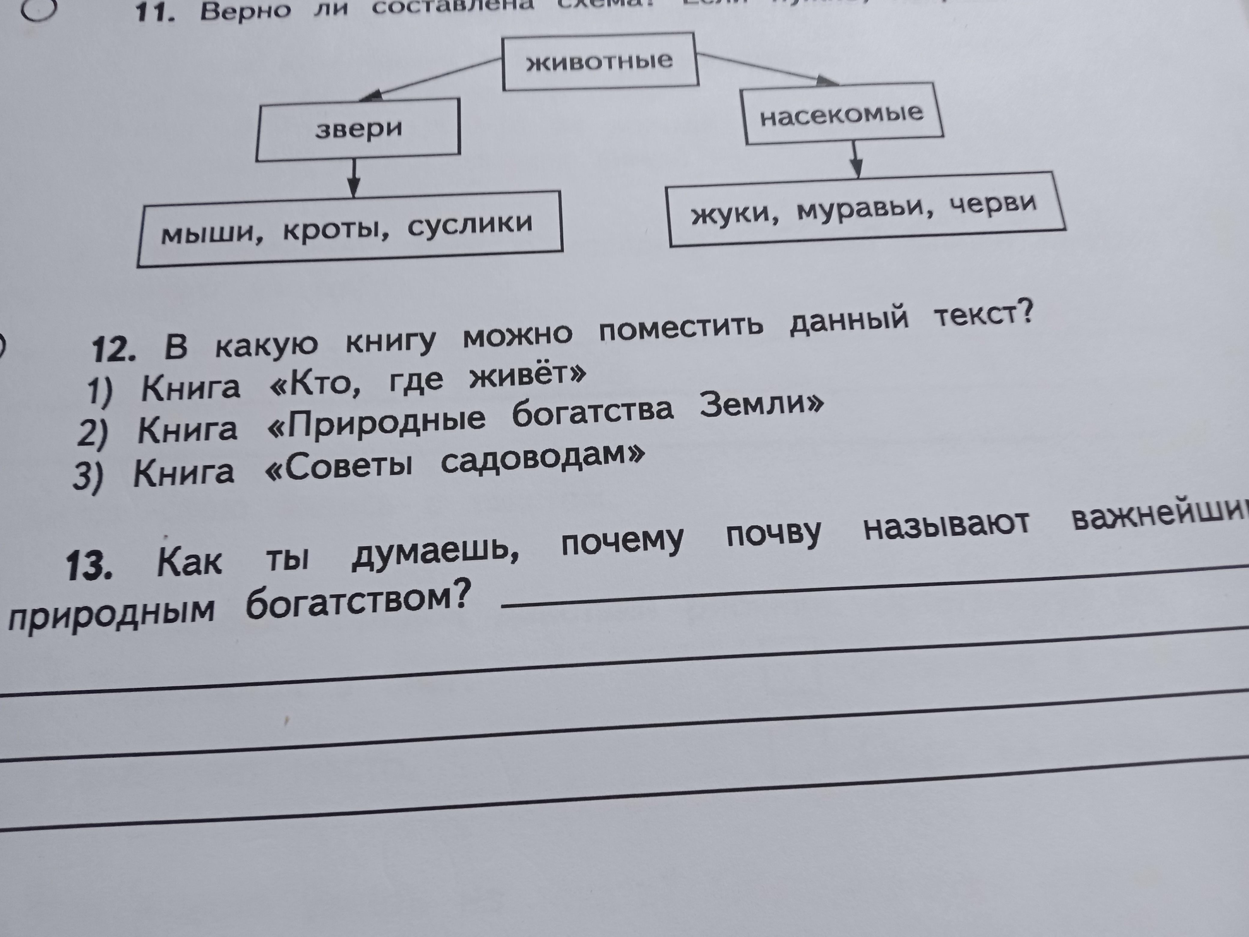 Правильно ли составлено. Верно ли составлена схема животные звери. Верно ли составлено схема если нужно исправь животные звери. Верна ли схема?. Верна ли схема животные звери насекомые.