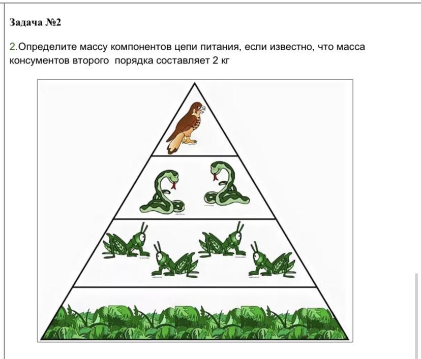 Постройте пирамиду чисел пищевой цепи