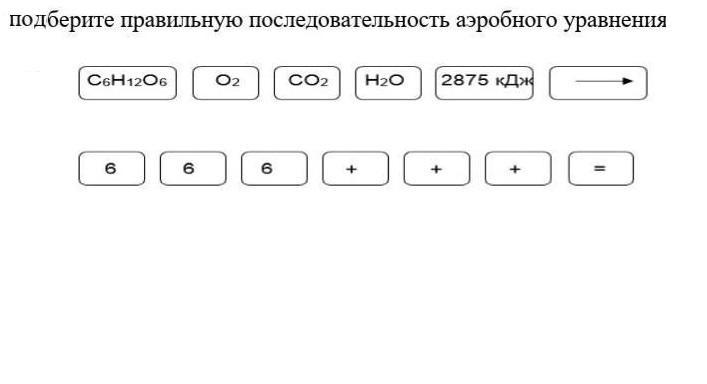 Последовательность 6 букв. Выбрать правильную последовательность. Выберите правильную последовательность. Выбери правильную последовательность. Выбери правильную последовательность 1,8,7.