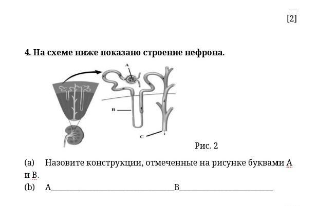 На рисунке изображена структура