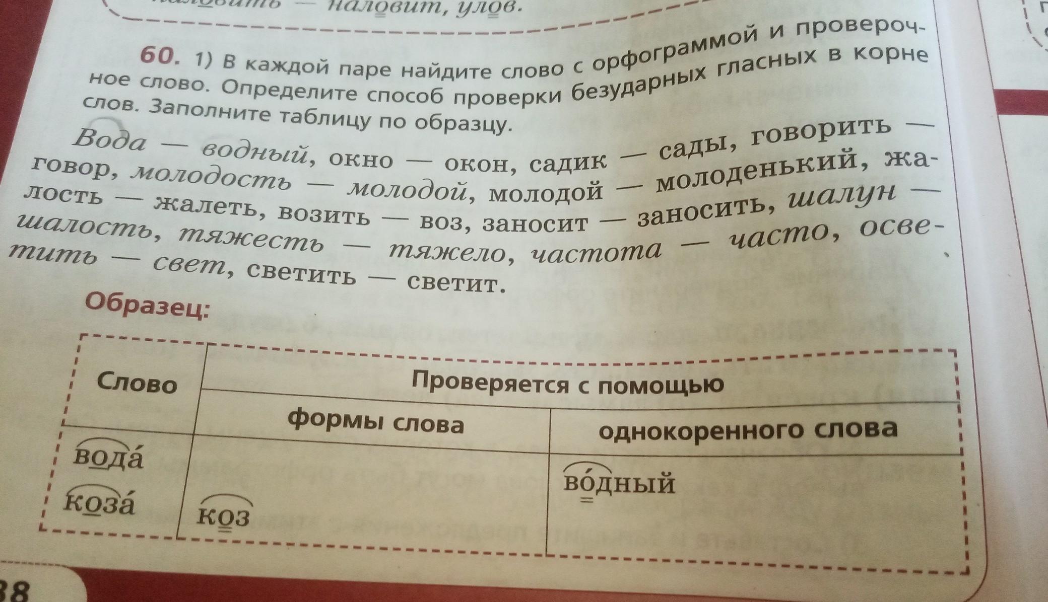 Сады проверочное слово. Найди пары слов:проверочное и проверяемое.