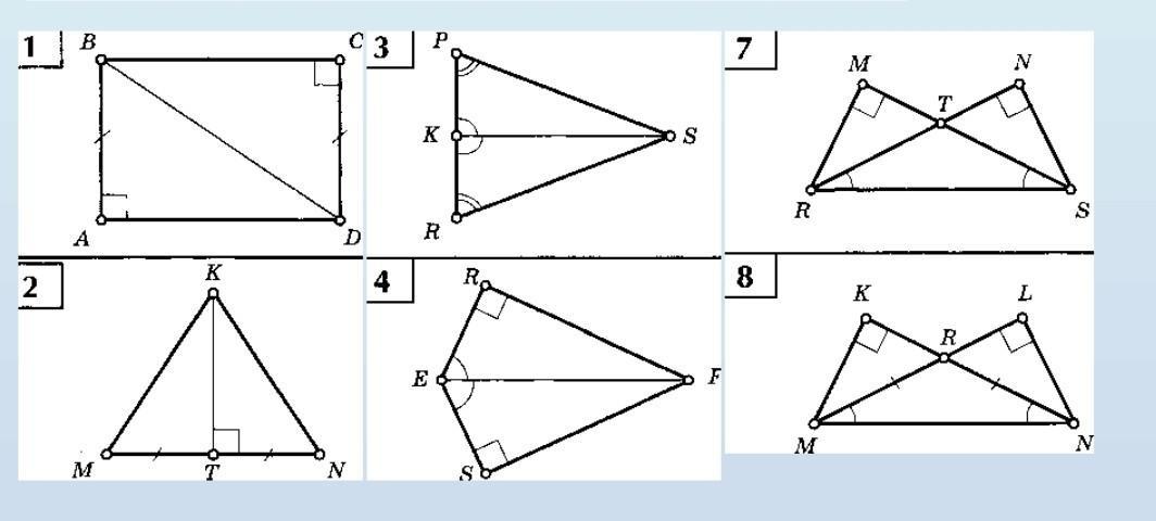 Геометрия задачи на равенство прямоугольных треугольников. Признаки равенства прямоугольных треугольников 7. Задачи на признаки равенства прямоугольных треугольников 7 класс. Доказать равенство прямоугольных треугольников 7 класс. Свойства равенства прямоугольных треугольников.
