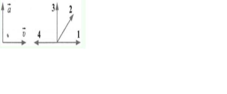 На левом рисунке представлены векторы скорости и ускорения тела какой 4 векторов на