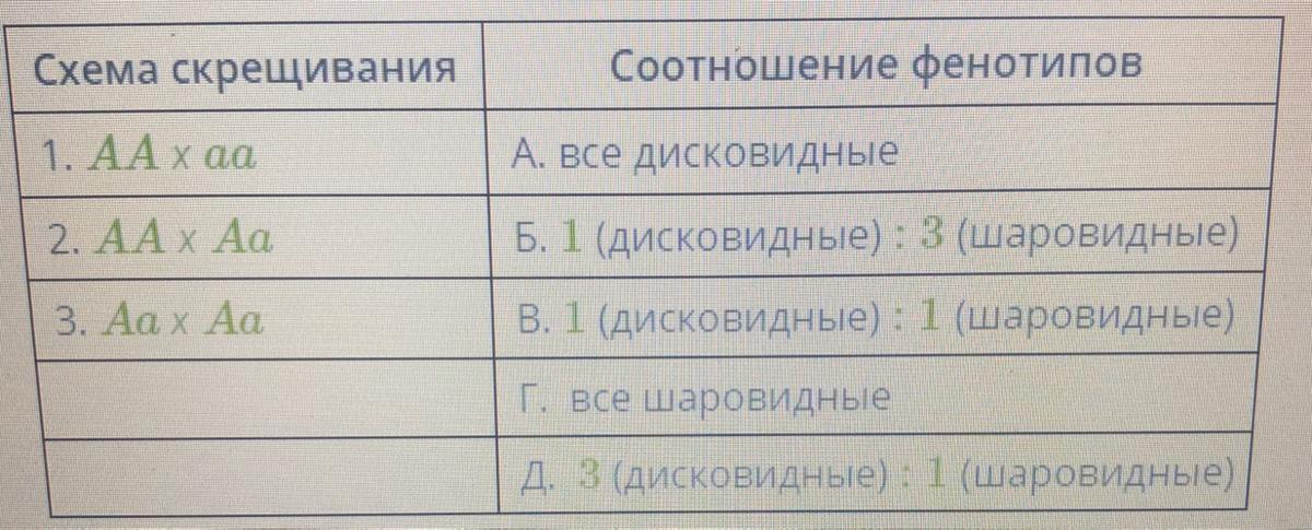 У тыквы белая окраска плодов доминирует над желтой установи соответствие между схемой скрещивания