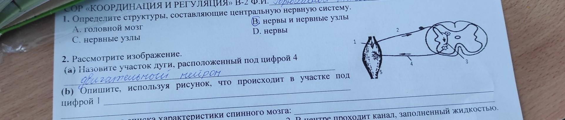 Рассмотрите рисунки что могло произойти до и после того что изображено на рисунках 609