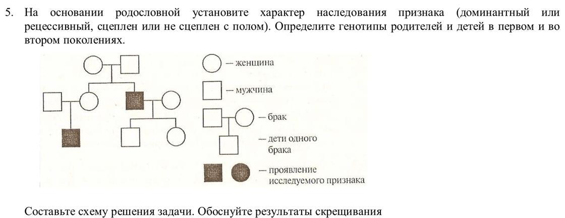 Рыжий доминантный или рецессивный признак