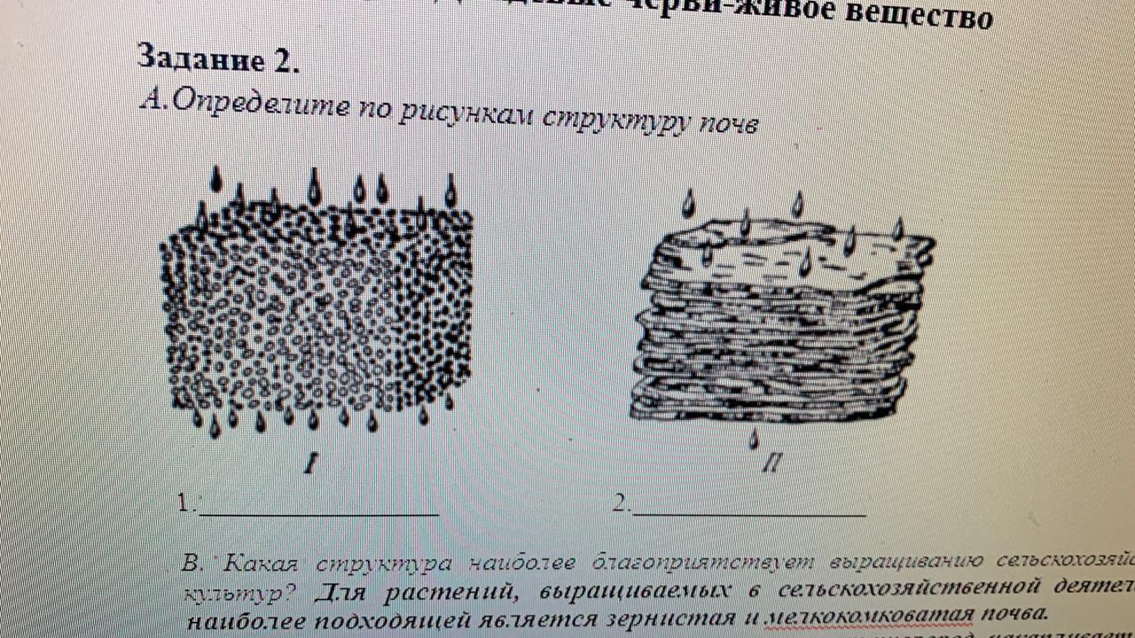 Определи на рисунке структуру. Определите какая структура нарисована. Нарисуйте состав.