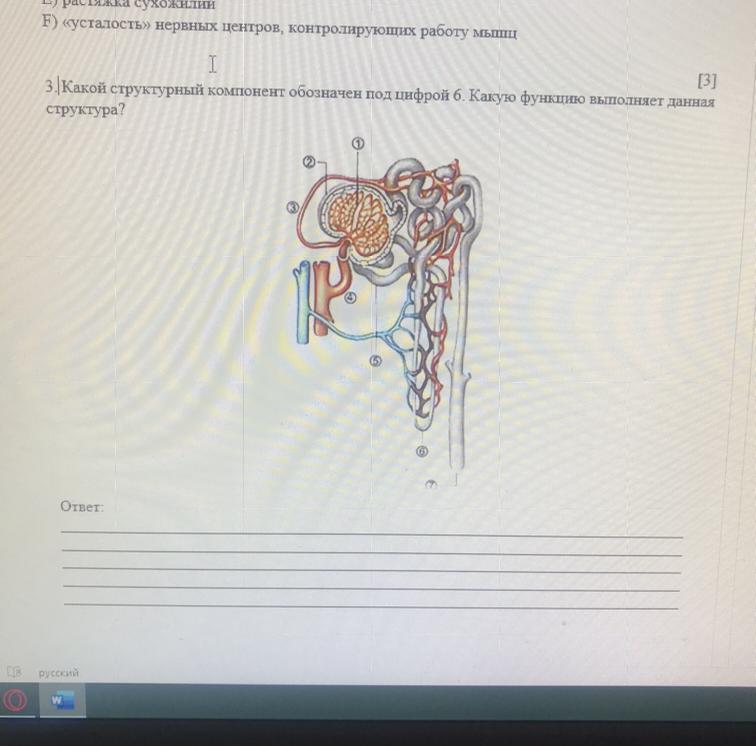 Структурные элементы письма