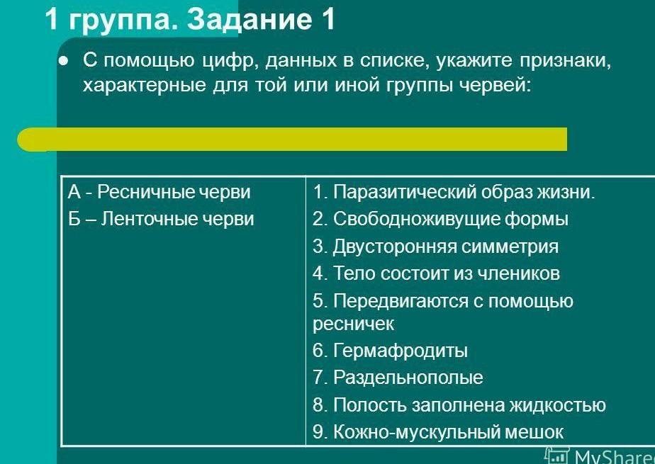 Группа черви признаки группы