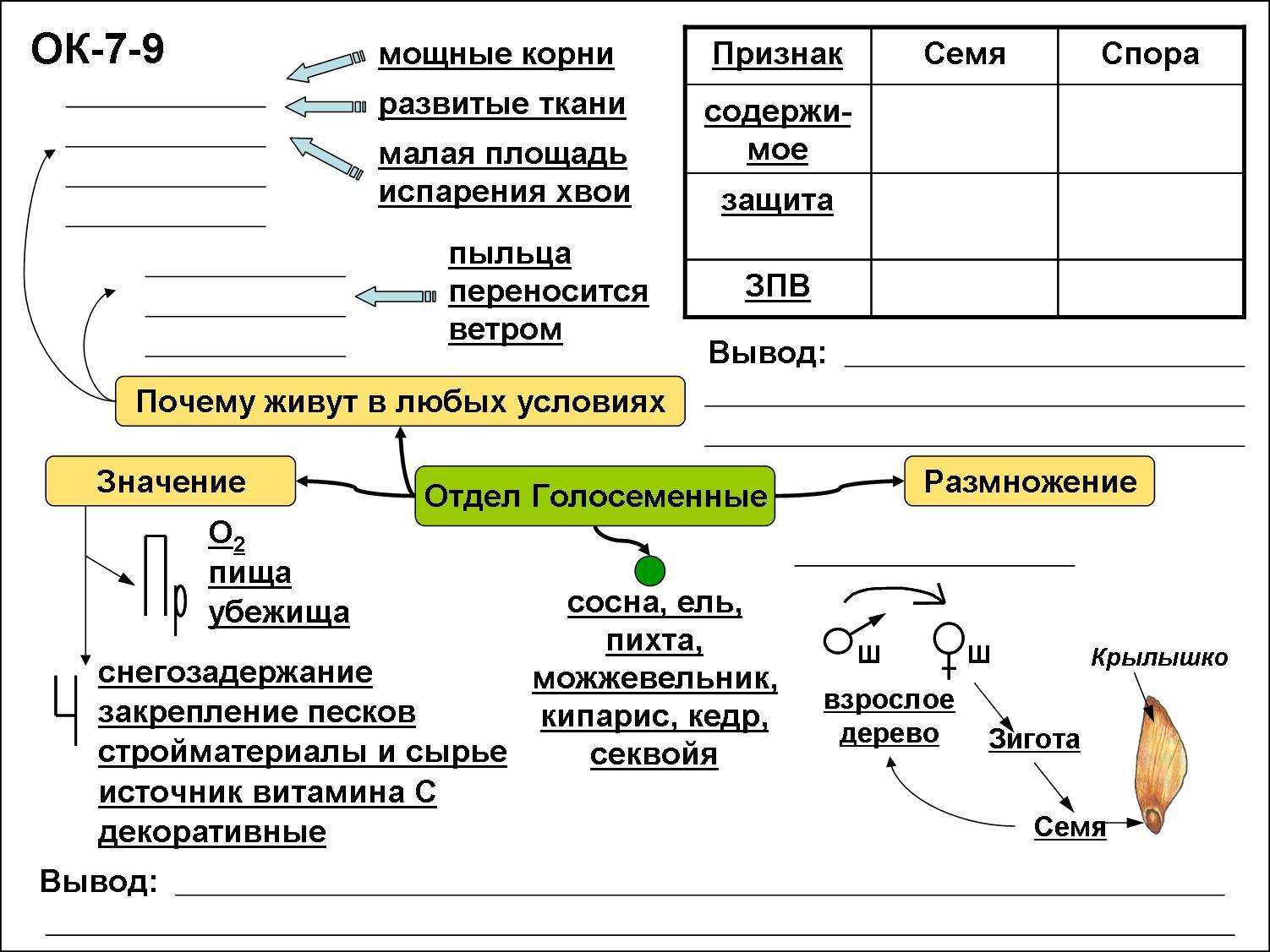 Конспекты живые уроки. Опорные конспекты по биологии 10-11 класс. Интеллект карта размножение растений. Опорный конспект по биологии. Опорный конспект по биологии 6 класс.