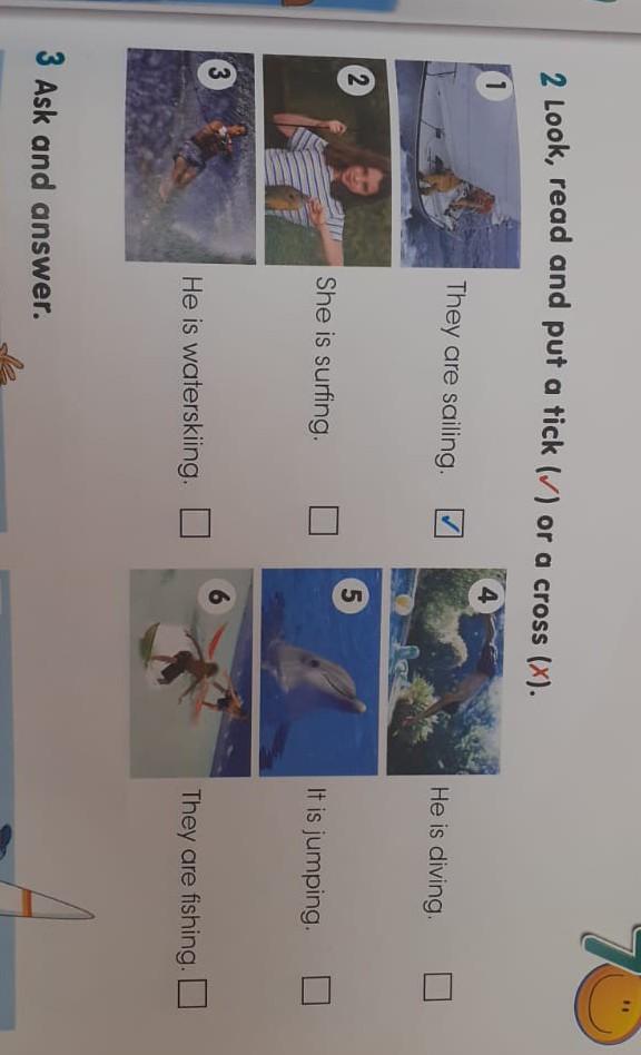 Look and tick or cross. Read and put a Tick or a Cross. Look read and put a Tick or a Cross. Look read and put a Tick or a crossперевот. Read and put a Tick or a Cross перевод.