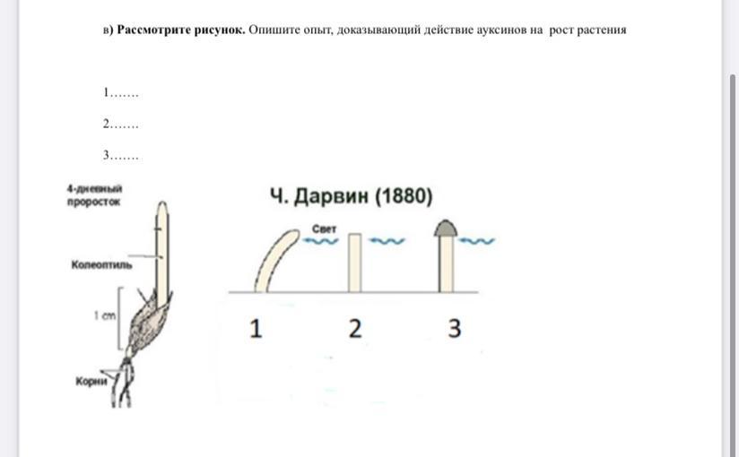 Рассмотрите рисунок 71. Рассмотрите изображение опыта. Придумайте опыт аналогичный изображенному на рисунке опишите. Рисунок цветка биология 6 класс.