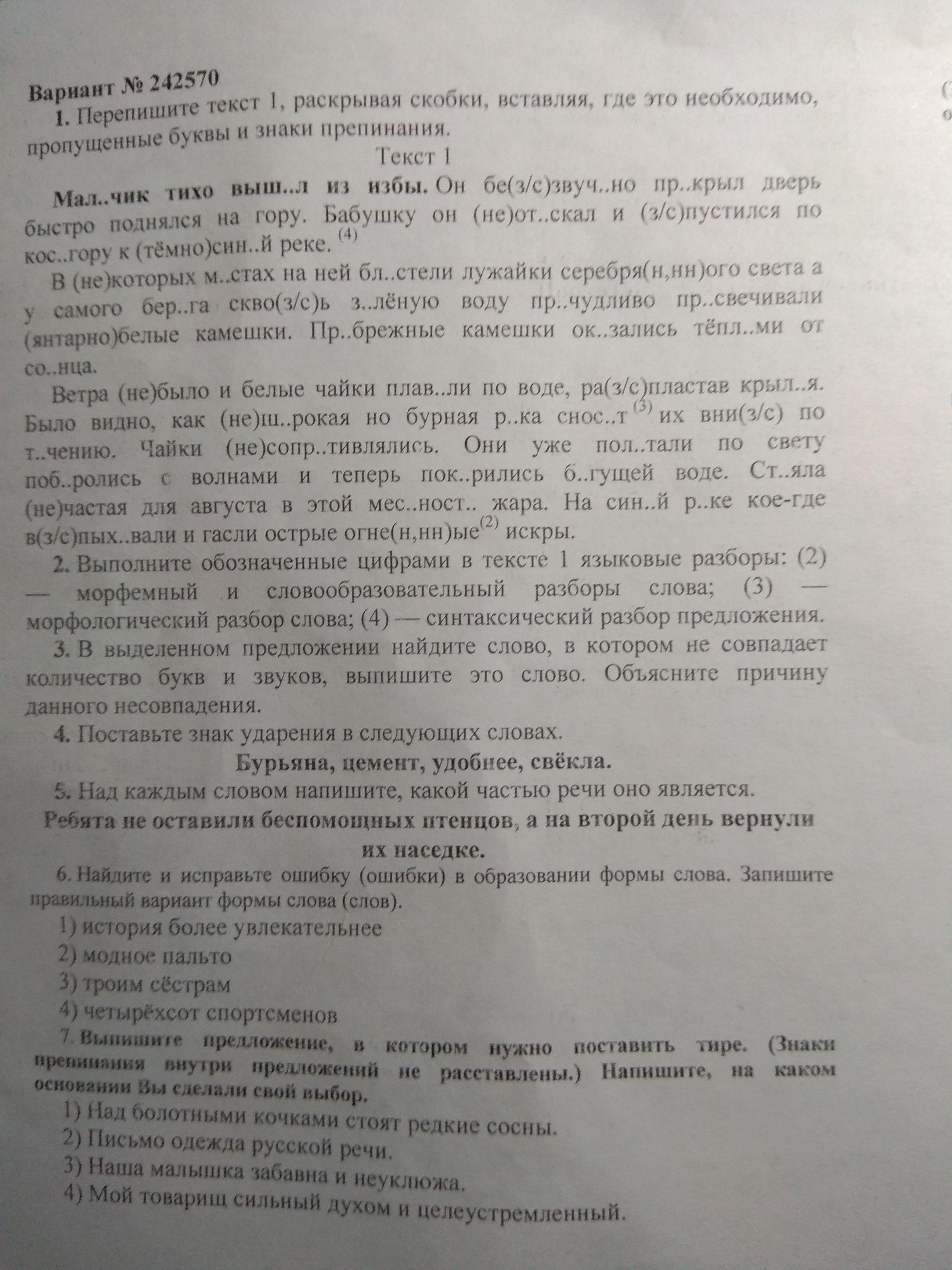 Громадный лес растянулся далеко вверх впр ответы