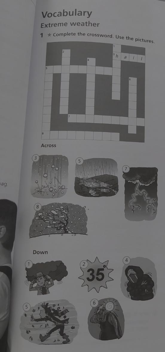 Complete the crossword down across. Complete the crossword down across по картинками. Complete the crossword. Use the -s form. Complete the crossword use the pictures Hail.