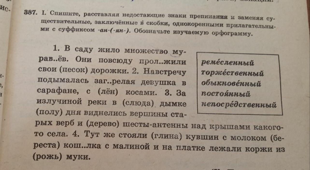 Слова заменяющие существительные. Заменяя существительные в скобках.