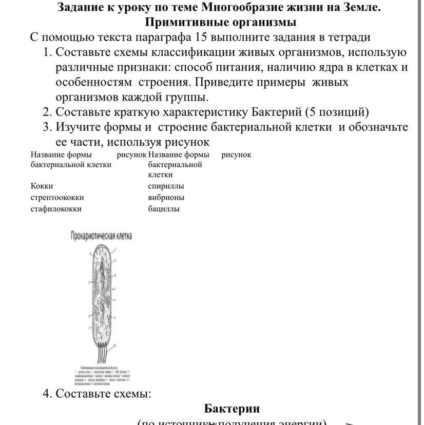 Примитивные организмы. Характеристика примитивных организмов. Примитивные организмы таблица. Задания примитивные организмы 9 класс. Вопросы по теме примитивные организмы.