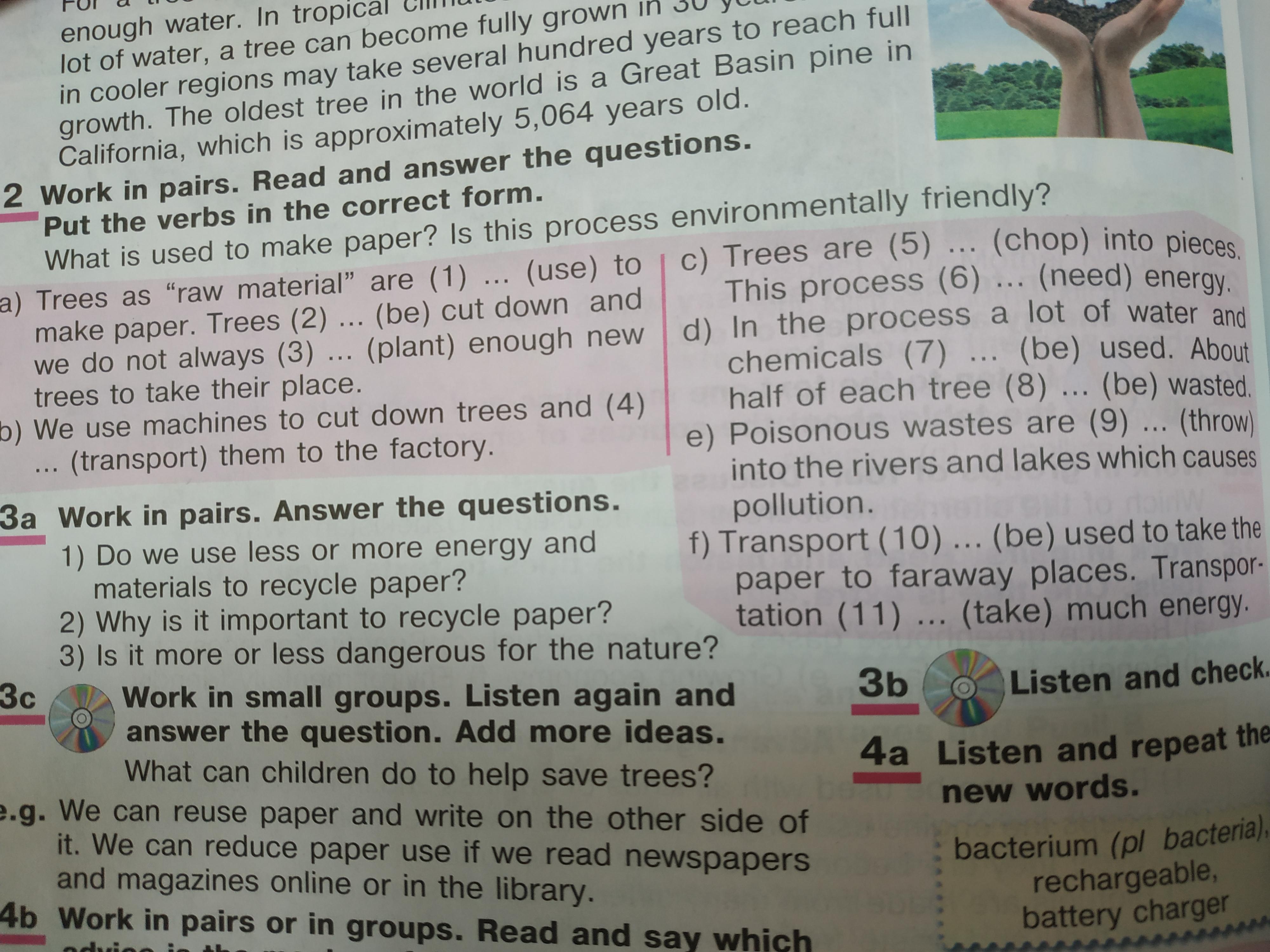 Read and answer the questions 2. Work in pairs read and answer the questions put the verbs in the correct form. In pairs answer the questions. Work in pairs answer the questions. Work in pairs read the questions with the New Words and answer them.