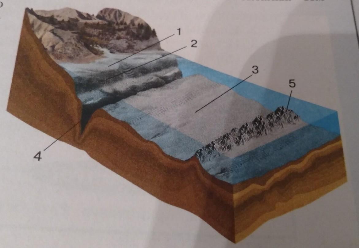 Строение дна океана рисунок