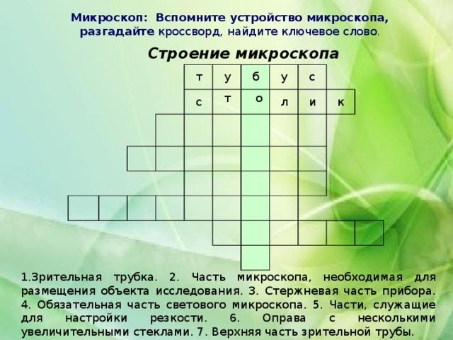 Прибор кроссворд. Кроссворд по теме увеличительные приборы 5 класс биология. Кроссворд на тему увеличительные приборы биология 5. Кроссворд по биологии увеличительные приборы. Кроссворд по теме увеличительные приборы.