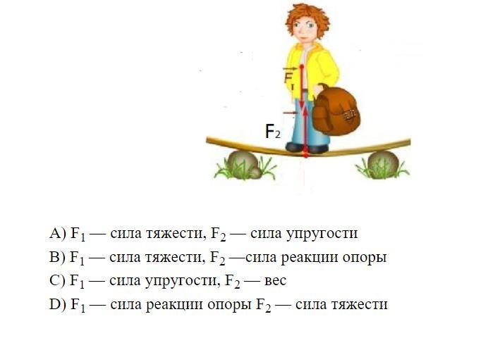 Вычислите силу тяжести тела. Какие силы изображены на рисунке буквами f1 и f2. Какие силы у гриндывальда. Какая сила у ЗЗ. Чу МЭ-ок какие силы.