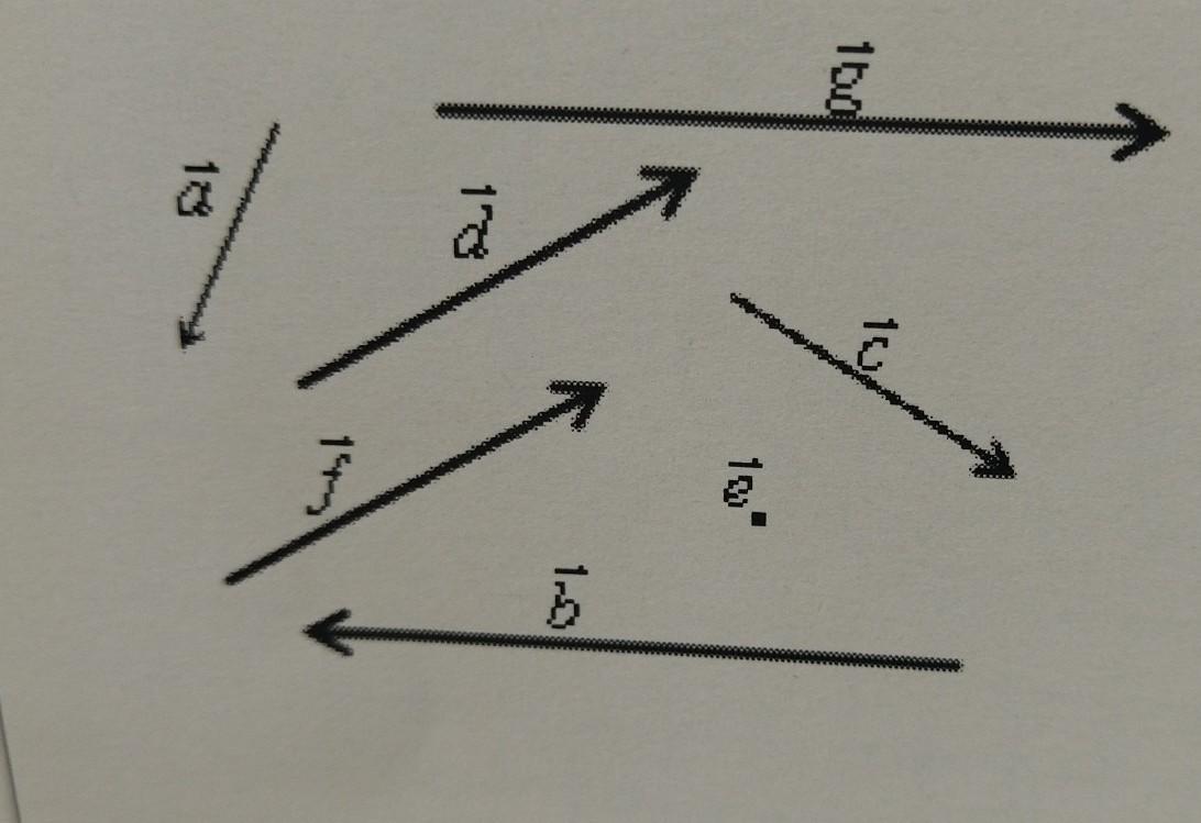 Изображены равные векторы. Неколлинеарные векторы рисунок. Неколлинеарные векторы сонаправленные с вектором. Равне противополовнае сонаправленные вектора. Найдите три коллинеарных вектора.