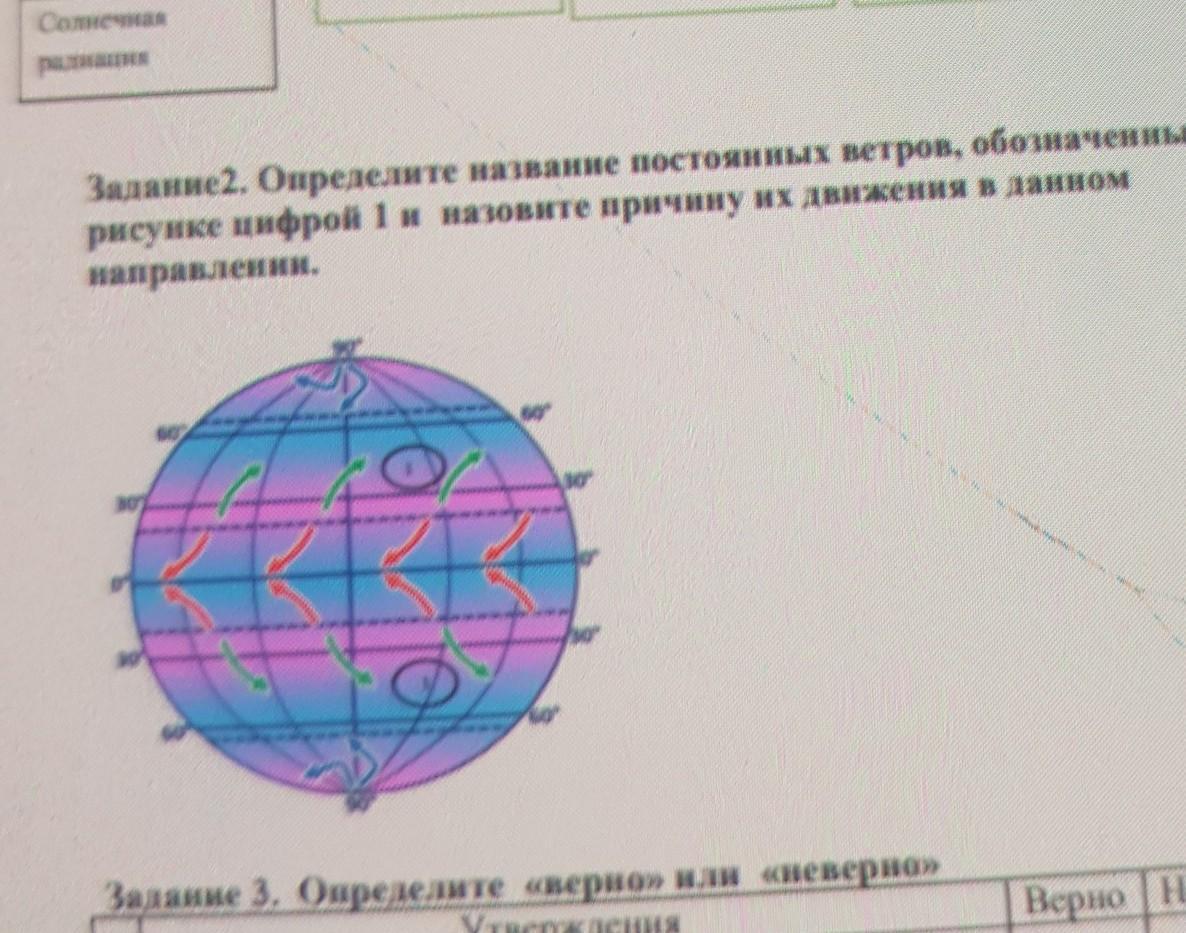 Определи какими цифрами на рисунке показаны следующие ветры северный восточный