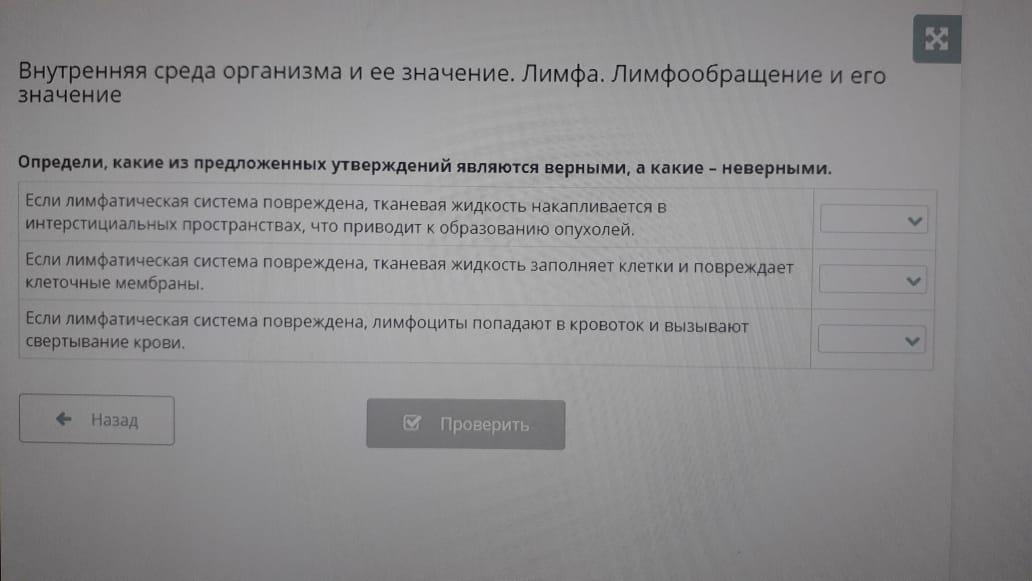 Сканером является выбери верный ответ. За верный ответ. Выбери верный ответ цифровой камерой является. Какие из предложенных утверждений верны на рисунке.