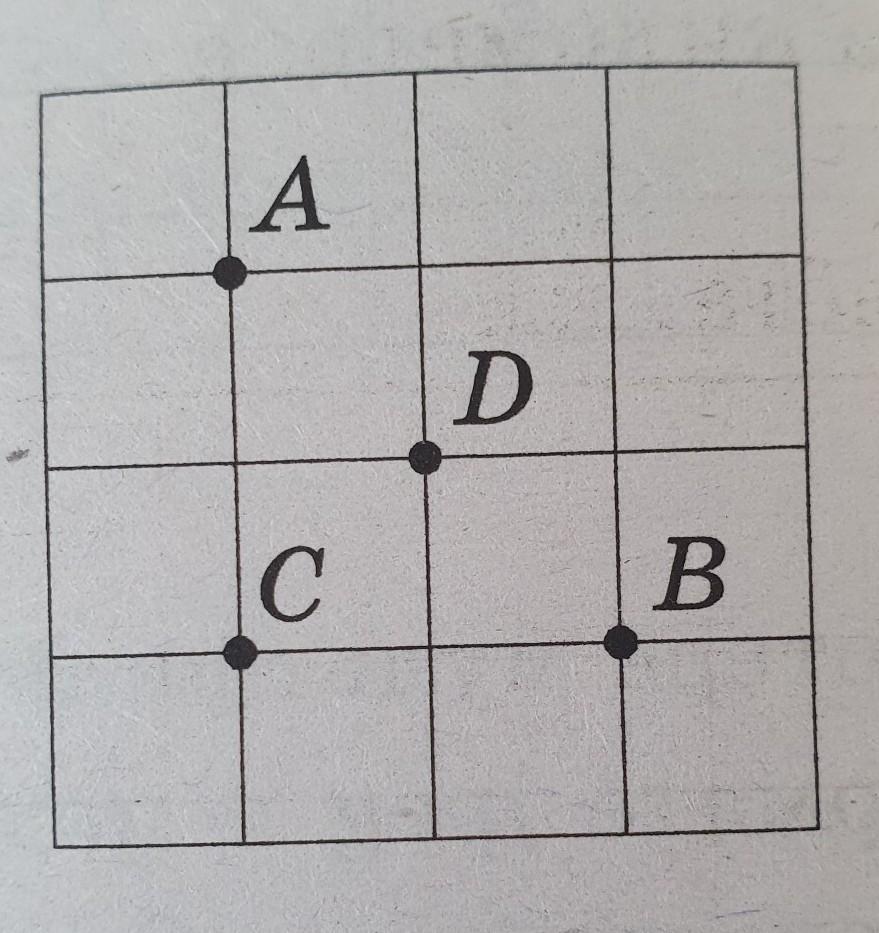 Отрезок на клетчатой бумаге. На клетчатой бумаге с размером 1х1 отмечены 4 точки а в с и д. На клетчатой бумаге с размером клетки 1х1 отмечены точки 4. На клетчатой бумаге с размером 1х1 АВ.