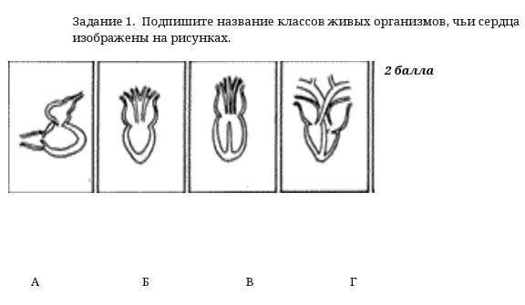 Как называется свойство живых организмов изображенное на рисунке утка