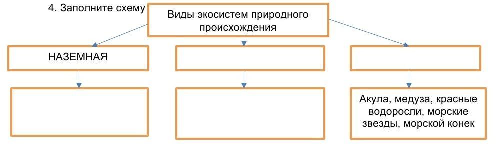 4 заполните схему