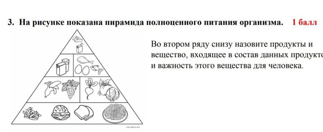 Пирамида изображена на рисунке. Продукты в ряд снизу вверх. На рисунке изображены 2 морских организма организм питается.