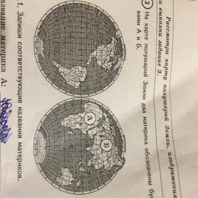 Карта полушарий земли 2 материка