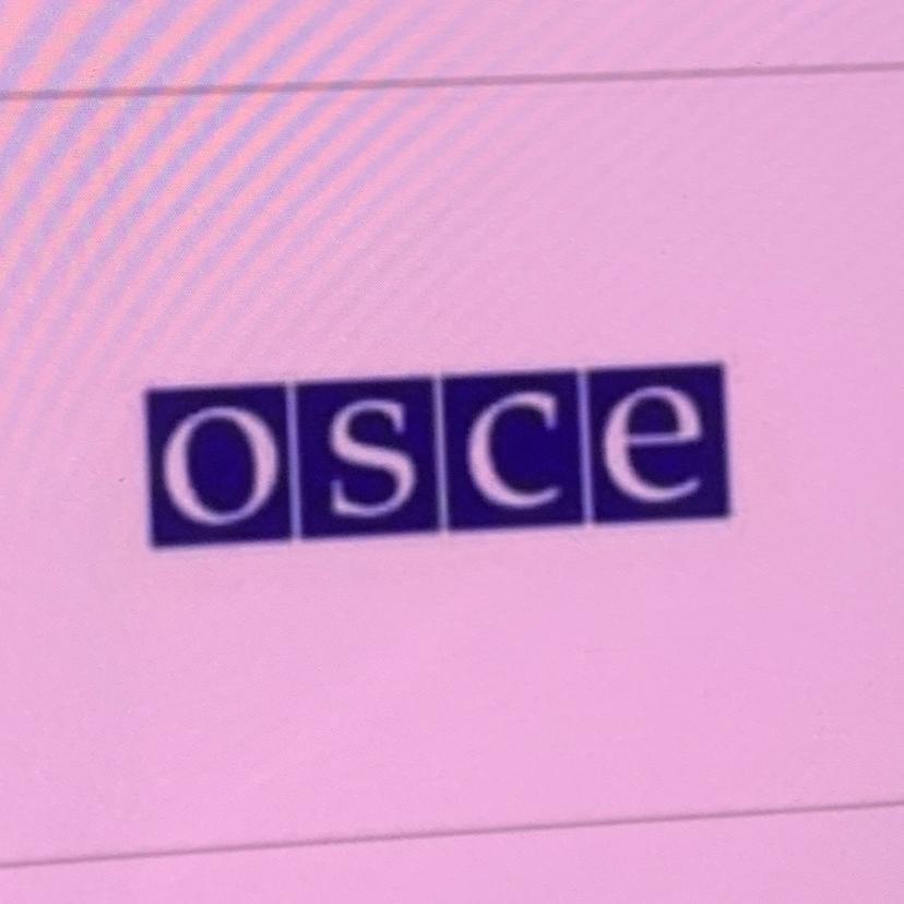 Эмблема какой организации изображена на рисунке osce