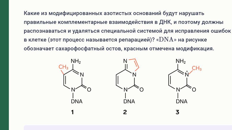 Днк содержит азотистые основания. Комплементарные азотистые основания. Назовите комплементарные азотистые основания. Комплементарные азотистые основания пример. Комплементарными азотистыми основаниями в ДНК являются.