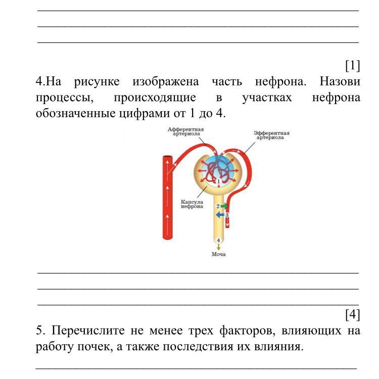 Что изображено на рисунке какие части изображенного объекта на рисунке обозначены цифрами 1 и 2