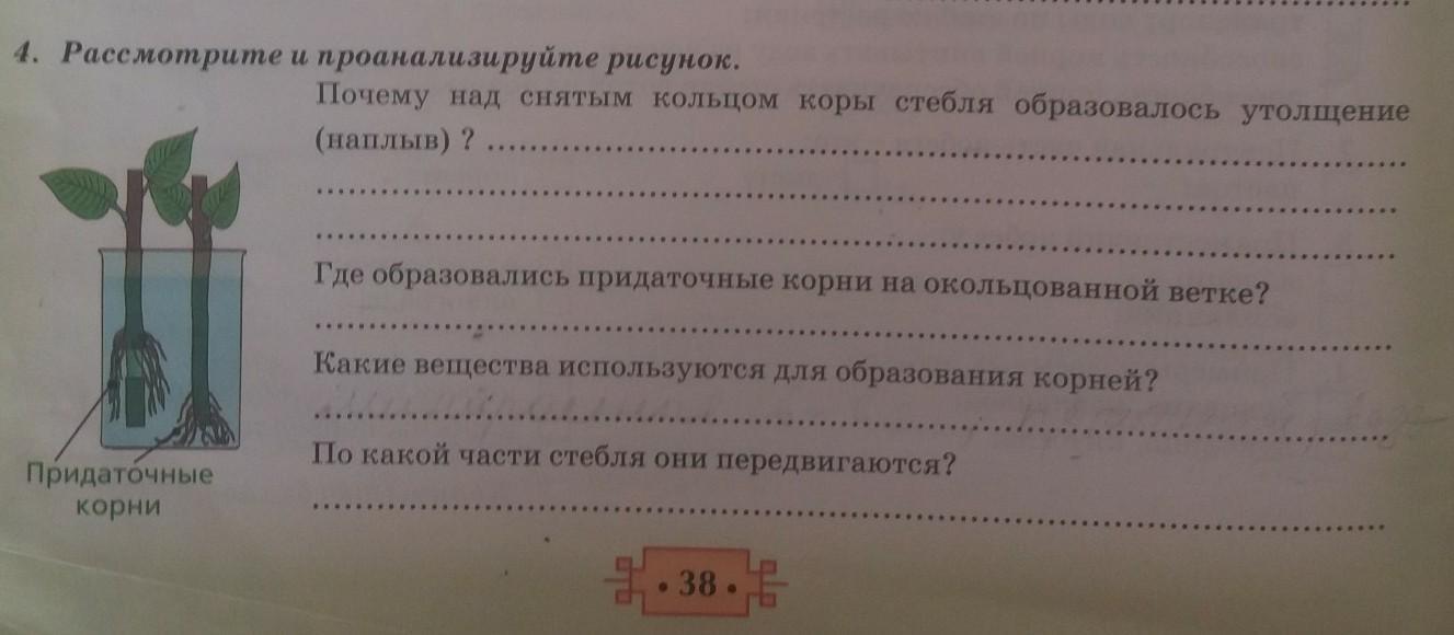 Проанализируйте рисунок. Рассмотрите и проанализируйте рис. Проанализируйте рисунок и ответьте на вопросы. Рассмотрите и проанализируйте рисунок 53