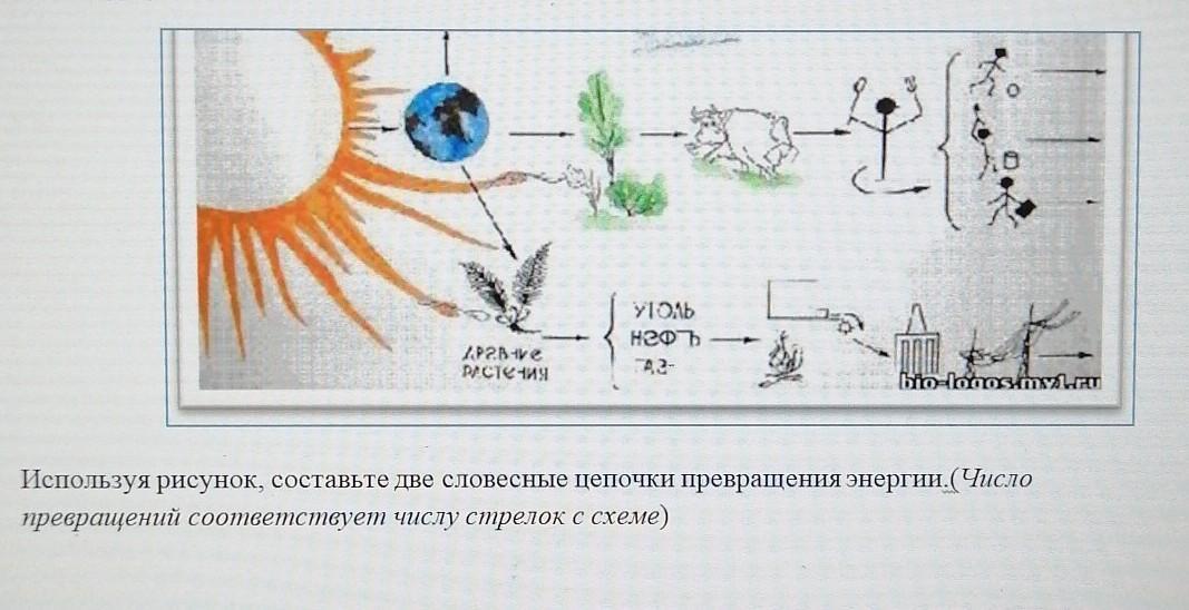 Земля пишу рисую описываю название науки