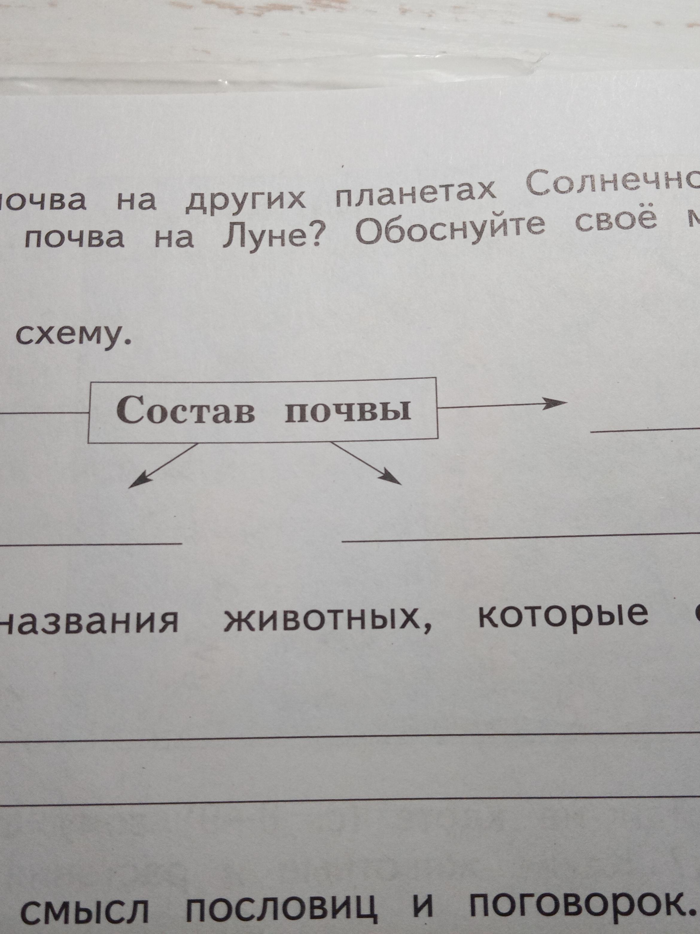 Дополни схему состав почвы. Дополните схему состав почвы. Дополни схему состав почвы вода. Состав почвы.